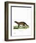 Fisher-null-Framed Giclee Print