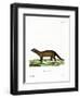 Fisher-null-Framed Giclee Print