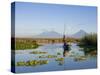 Fisherman, Agua and Pacaya Volcanoes in the Background, Monterrico, Pacific Coast, Guatemala-Michele Falzone-Stretched Canvas