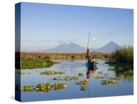 Fisherman, Agua and Pacaya Volcanoes in the Background, Monterrico, Pacific Coast, Guatemala-Michele Falzone-Stretched Canvas