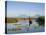 Fisherman, Agua and Pacaya Volcanoes in the Background, Monterrico, Pacific Coast, Guatemala-Michele Falzone-Stretched Canvas