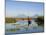 Fisherman, Agua and Pacaya Volcanoes in the Background, Monterrico, Pacific Coast, Guatemala-Michele Falzone-Mounted Photographic Print