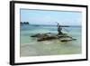 Fisherman and Traditional Outrigger Boat-Peter Richardson-Framed Photographic Print