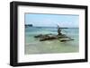 Fisherman and Traditional Outrigger Boat-Peter Richardson-Framed Photographic Print