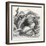 Fisherman Begs a Whale Not to Swallow Him-null-Framed Art Print