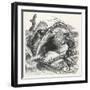 Fisherman Begs a Whale Not to Swallow Him-null-Framed Art Print