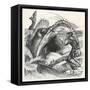 Fisherman Begs a Whale Not to Swallow Him-null-Framed Stretched Canvas