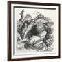 Fisherman Begs a Whale Not to Swallow Him-null-Framed Art Print