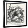 Fisherman Begs a Whale Not to Swallow Him-null-Framed Art Print