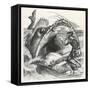 Fisherman Begs a Whale Not to Swallow Him-null-Framed Stretched Canvas