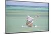 Fisherman Fishing from a Pirogue, a Traditional Madagascar Sailing Boat, Ifaty, Madagascar, Africa-Matthew Williams-Ellis-Mounted Photographic Print