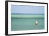 Fisherman Fishing from a Pirogue, a Traditional Madagascar Sailing Boat, Ifaty, Madagascar, Africa-Matthew Williams-Ellis-Framed Photographic Print