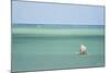 Fisherman Fishing from a Pirogue, a Traditional Madagascar Sailing Boat, Ifaty, Madagascar, Africa-Matthew Williams-Ellis-Mounted Photographic Print