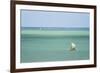 Fisherman Fishing from a Pirogue, a Traditional Madagascar Sailing Boat, Ifaty, Madagascar, Africa-Matthew Williams-Ellis-Framed Photographic Print