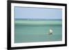 Fisherman Fishing from a Pirogue, a Traditional Madagascar Sailing Boat, Ifaty, Madagascar, Africa-Matthew Williams-Ellis-Framed Photographic Print