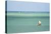 Fisherman Fishing from a Pirogue, a Traditional Madagascar Sailing Boat, Ifaty, Madagascar, Africa-Matthew Williams-Ellis-Stretched Canvas