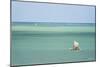 Fisherman Fishing from a Pirogue, a Traditional Madagascar Sailing Boat, Ifaty, Madagascar, Africa-Matthew Williams-Ellis-Mounted Photographic Print