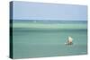 Fisherman Fishing from a Pirogue, a Traditional Madagascar Sailing Boat, Ifaty, Madagascar, Africa-Matthew Williams-Ellis-Stretched Canvas