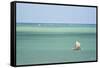 Fisherman Fishing from a Pirogue, a Traditional Madagascar Sailing Boat, Ifaty, Madagascar, Africa-Matthew Williams-Ellis-Framed Stretched Canvas