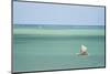 Fisherman Fishing from a Pirogue, a Traditional Madagascar Sailing Boat, Ifaty, Madagascar, Africa-Matthew Williams-Ellis-Mounted Photographic Print