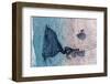 Fisherman from Above-Haitham Al Farsi-Framed Photographic Print