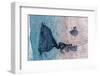 Fisherman from Above-Haitham Al Farsi-Framed Photographic Print