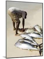 Fisherman Gutting Catch on Beach at Santa Maria on the Island of Sal (Salt), Cape Verde Islands-R H Productions-Mounted Photographic Print
