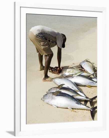 Fisherman Gutting Catch on Beach at Santa Maria on the Island of Sal (Salt), Cape Verde Islands-R H Productions-Framed Photographic Print