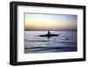 Fisherman in a Papyrus Boat, Lake Tana, Ethiopia, Africa-Simon Montgomery-Framed Photographic Print