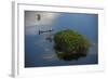 Fisherman in Conservancy. West Demerara Conservancy, West of Georgetown, Guyana-Pete Oxford-Framed Photographic Print