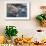 Fisherman in Fishing Boat in Amalfi Harbour-Eleanor Scriven-Framed Photographic Print displayed on a wall