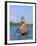 Fisherman, Inle Lake, Shan State, Myanmar (Burma), Asia-Sergio Pitamitz-Framed Photographic Print