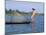 Fisherman, Inle Lake, Shan State, Myanmar (Burma), Asia-Sergio Pitamitz-Mounted Photographic Print