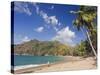 Fisherman on a Palm-Fringed Beach, Englishmans Bay, Tobago, Trinidad and Tobago-Christian Kober-Stretched Canvas