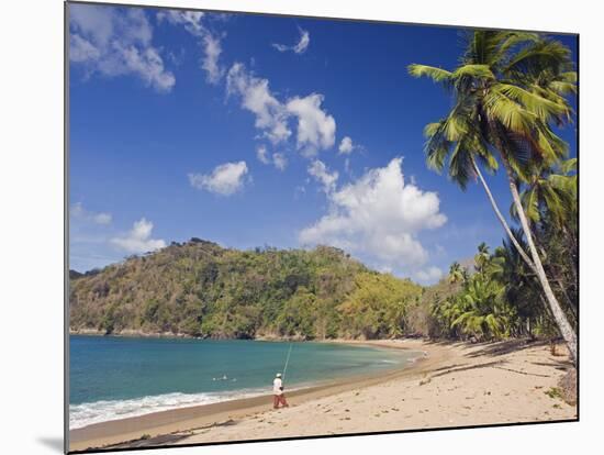 Fisherman on a Palm-Fringed Beach, Englishmans Bay, Tobago, Trinidad and Tobago-Christian Kober-Mounted Photographic Print