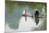 Fisherman on bamboo raft on Mingshi River with karst hills, Mingshi, Guangxi Province, China-Keren Su-Mounted Premium Photographic Print