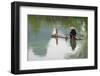 Fisherman on bamboo raft on Mingshi River with karst hills, Mingshi, Guangxi Province, China-Keren Su-Framed Photographic Print