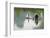 Fisherman on bamboo raft on Mingshi River with karst hills, Mingshi, Guangxi Province, China-Keren Su-Framed Photographic Print