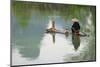 Fisherman on bamboo raft on Mingshi River with karst hills, Mingshi, Guangxi Province, China-Keren Su-Mounted Photographic Print