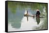 Fisherman on bamboo raft on Mingshi River with karst hills, Mingshi, Guangxi Province, China-Keren Su-Framed Stretched Canvas