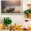 Fisherman Prepare to Set Out, Irrawaddy River, Myanmar (Burma), Asia-Colin Brynn-Framed Photographic Print displayed on a wall