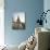 Fisherman's Bastion, Budapest, Hungary, Europe-Ben Pipe-Photographic Print displayed on a wall