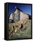 Fisherman's Hut, Lindisfarne (Holy Island), Northumberland, England, United Kingdom-Lee Frost-Framed Stretched Canvas