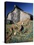 Fisherman's Hut, Lindisfarne (Holy Island), Northumberland, England, United Kingdom-Lee Frost-Stretched Canvas