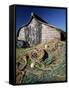 Fisherman's Hut, Lindisfarne (Holy Island), Northumberland, England, United Kingdom-Lee Frost-Framed Stretched Canvas