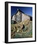 Fisherman's Hut, Lindisfarne (Holy Island), Northumberland, England, United Kingdom-Lee Frost-Framed Photographic Print