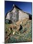 Fisherman's Hut, Lindisfarne (Holy Island), Northumberland, England, United Kingdom-Lee Frost-Mounted Photographic Print