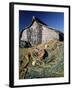 Fisherman's Hut, Lindisfarne (Holy Island), Northumberland, England, United Kingdom-Lee Frost-Framed Photographic Print