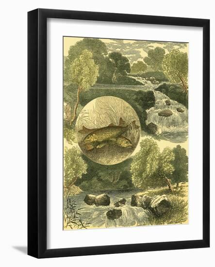 Fisherman's Vignette I-Vision Studio-Framed Art Print