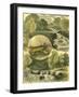 Fisherman's Vignette I-Vision Studio-Framed Art Print